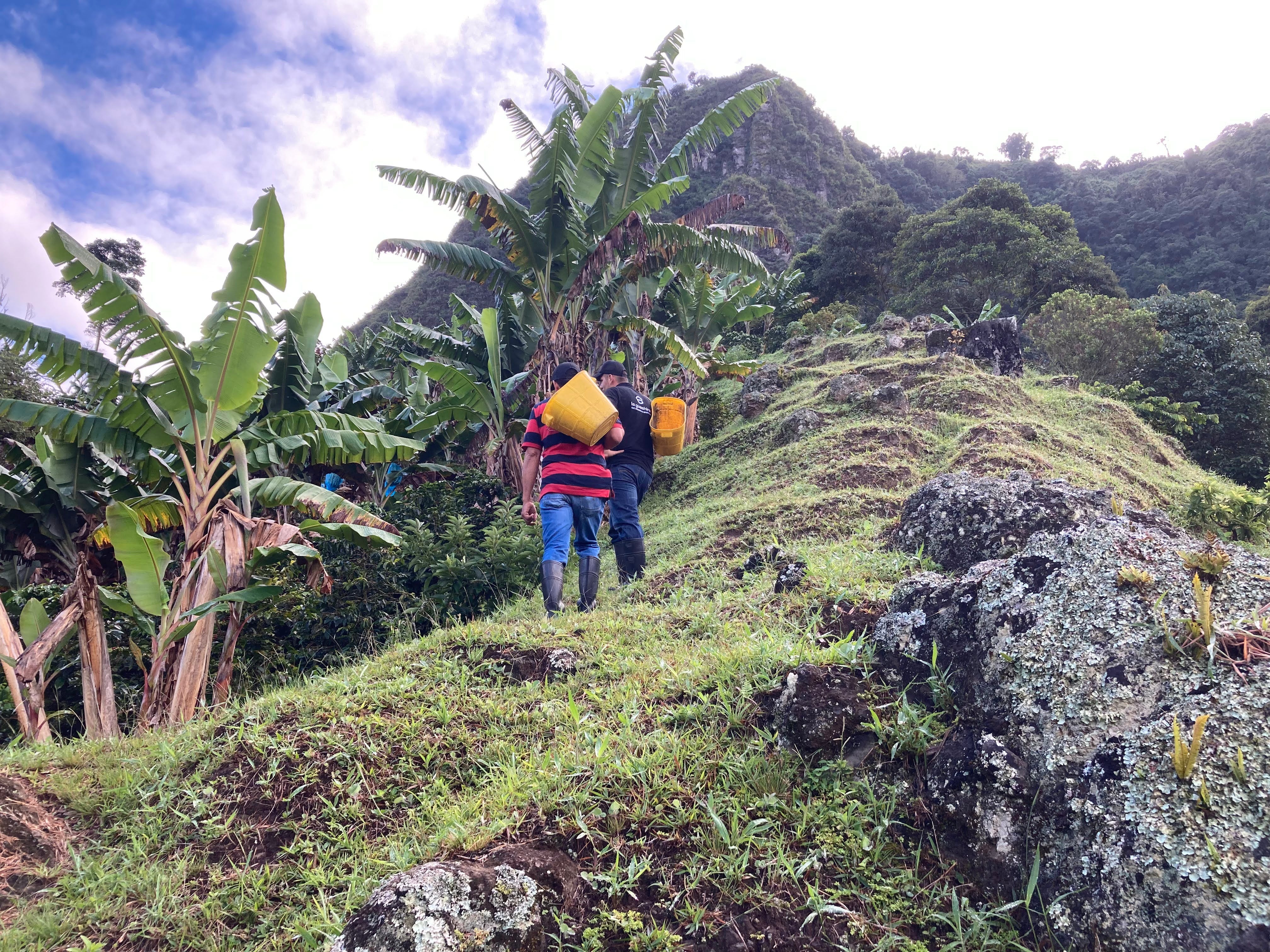 Qué es el café de especialidad y en qué se diferencia del café convencional
