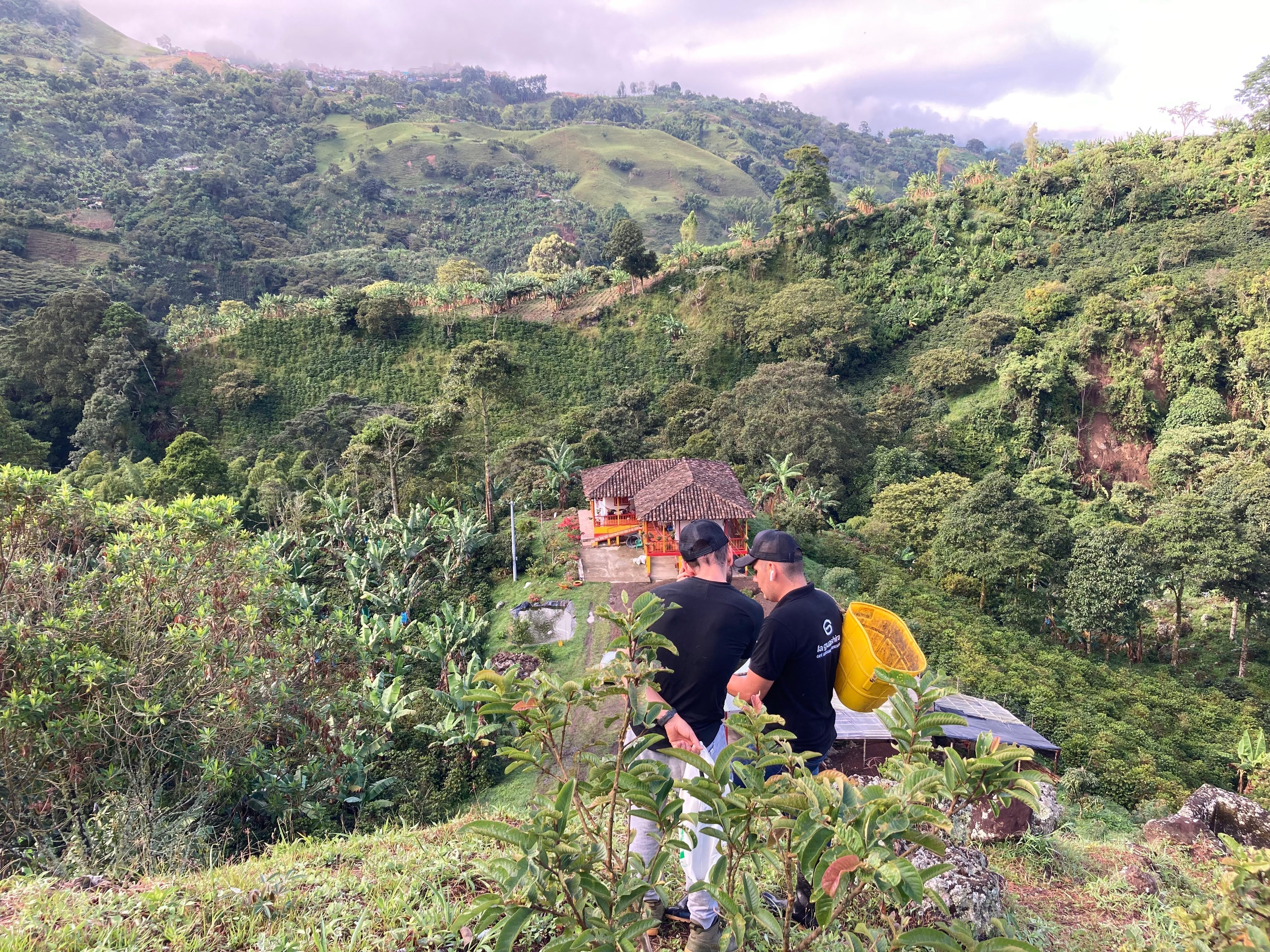 café colombiano de especialidad