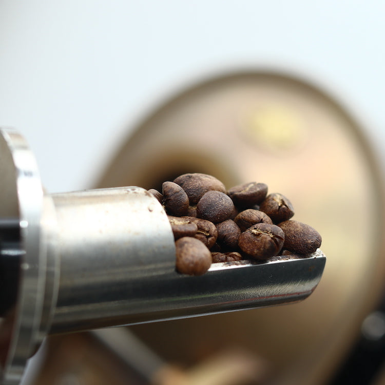 café de especialidad en Alicante