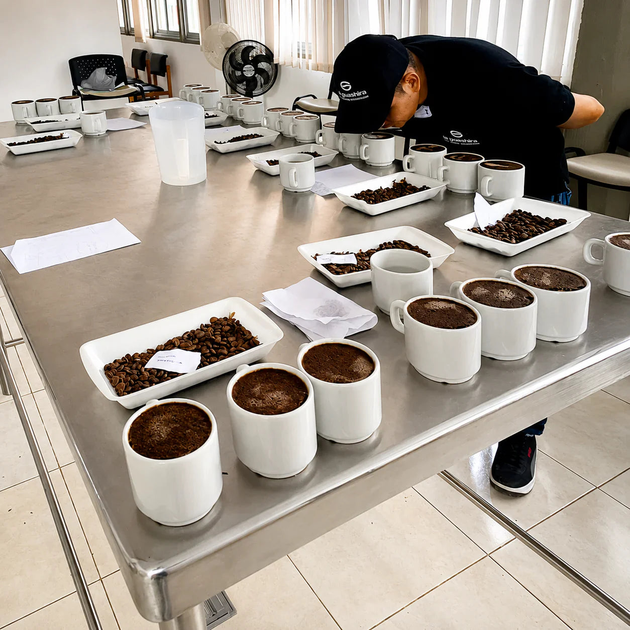 Qué es un Q grader y qué hace en una finca