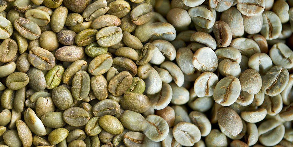 Café Verde vs Café Pergamino: Diferencias, Procesos y Uso - La Guashira Specialty Coffee