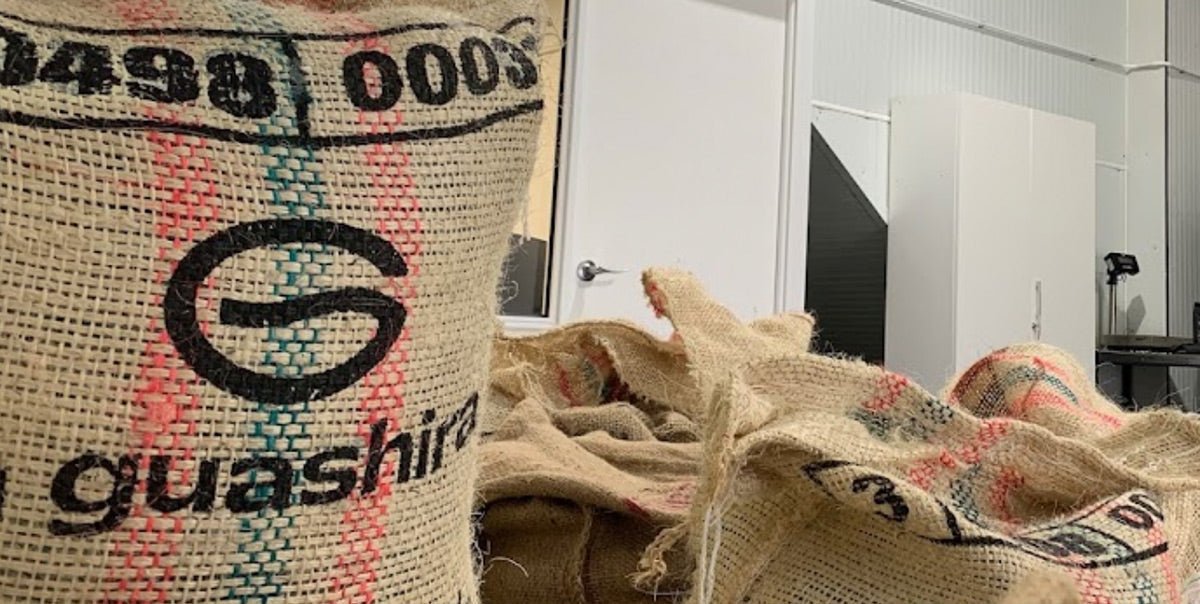 Diferencias básicas entre café Arábica y Robusta - La Guashira Specialty Coffee