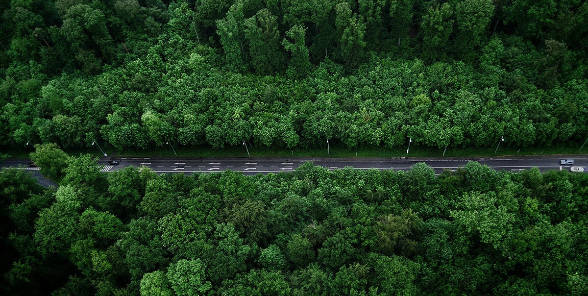 La EUDR y cómo afrontar con éxito este requisito europeo - La Guashira Specialty Coffee