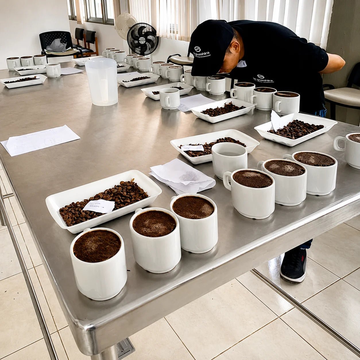Mejor café de Colombia: cómo se mide la calidad y qué lo diferencia del café convencional - La Guashira Specialty Coffee