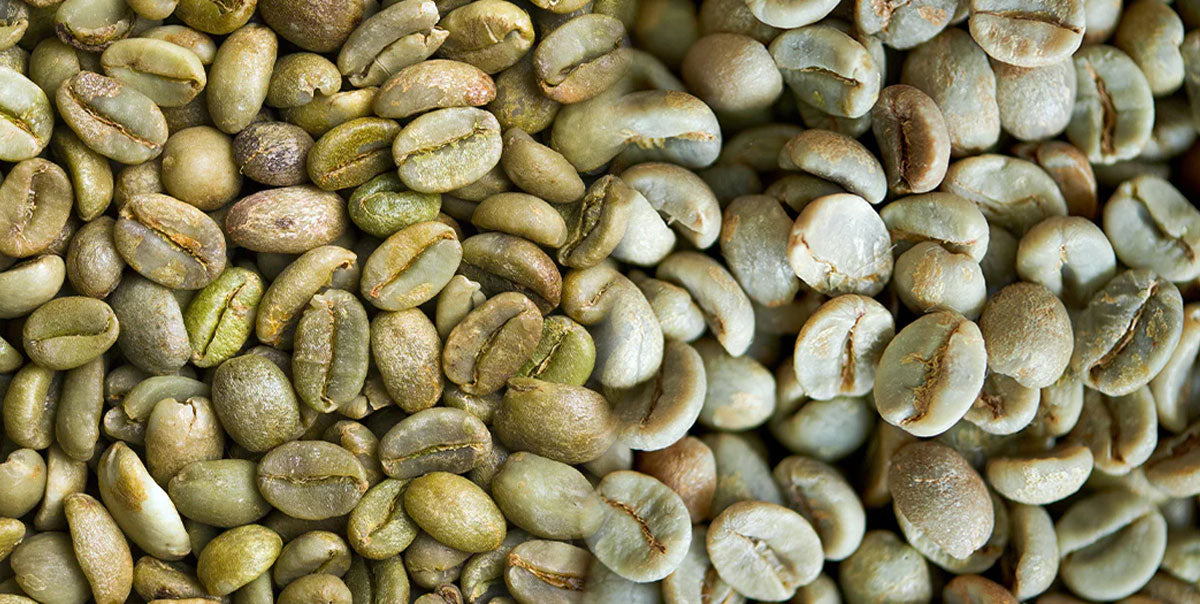 Diferencias entre café verde y café pergamino