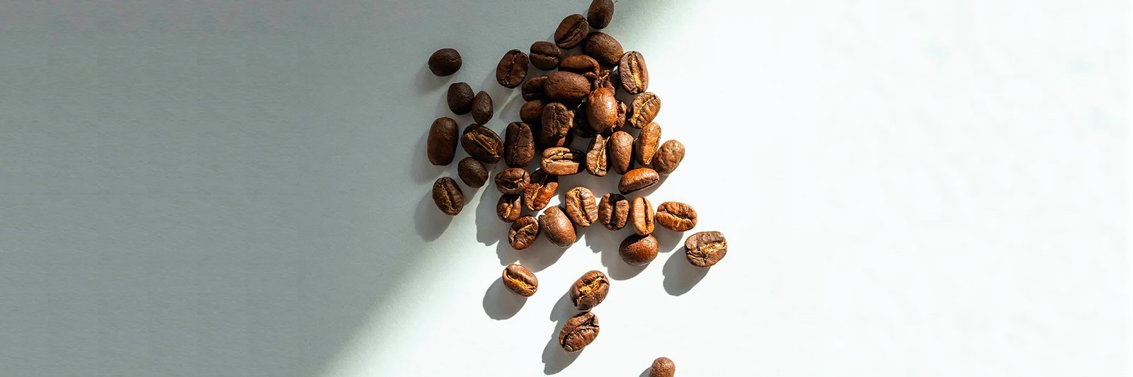 Café Tostado de Especialidad - La Guashira Specialty Coffee