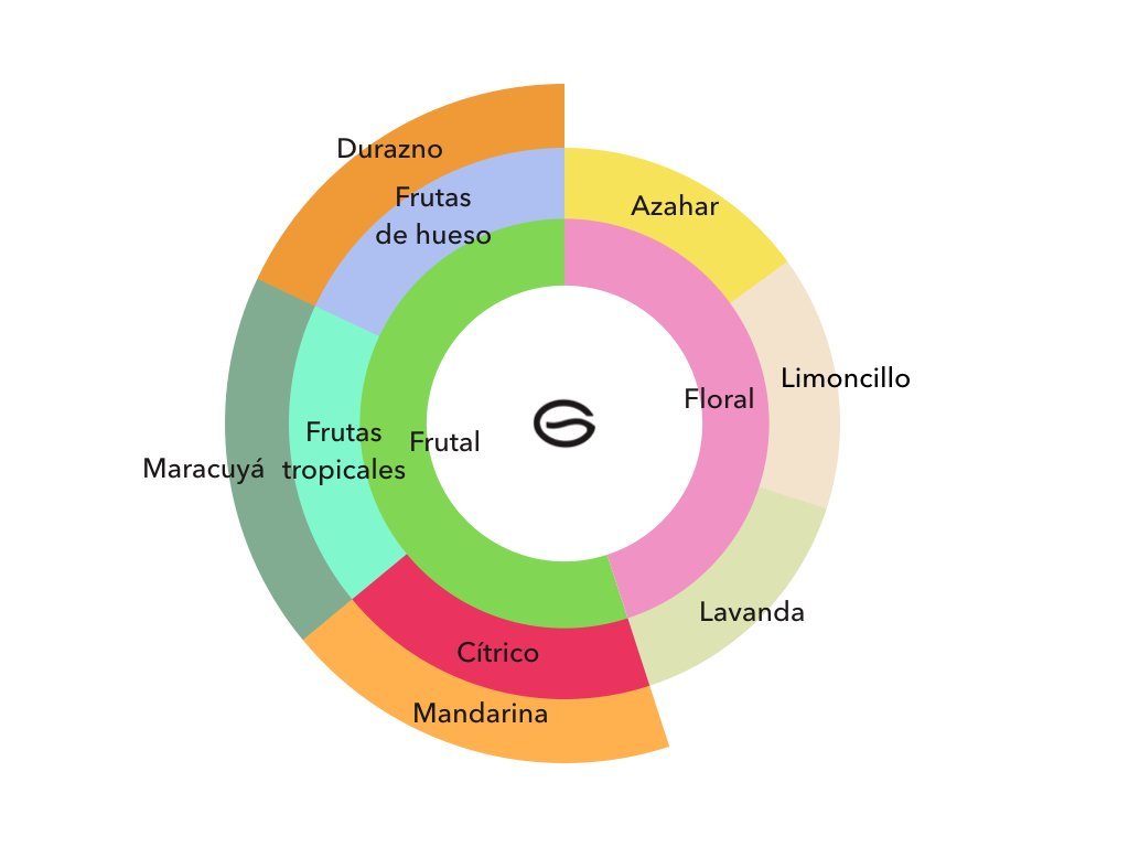 Geisha Amarillo - Doble Fermentación, Finca Las Acacias - La Guashira Specialty Coffee