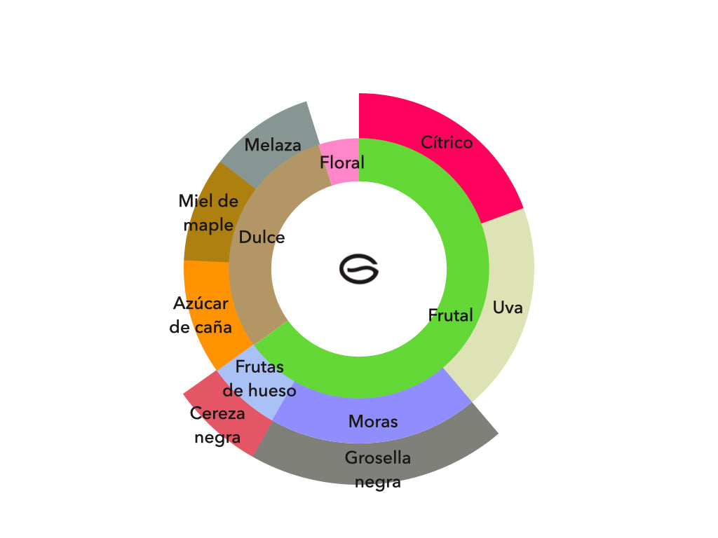 Origen - La Guashira Specialty Coffee