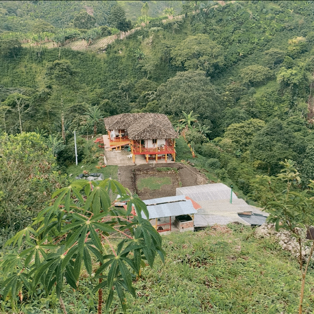 Café de finca propia