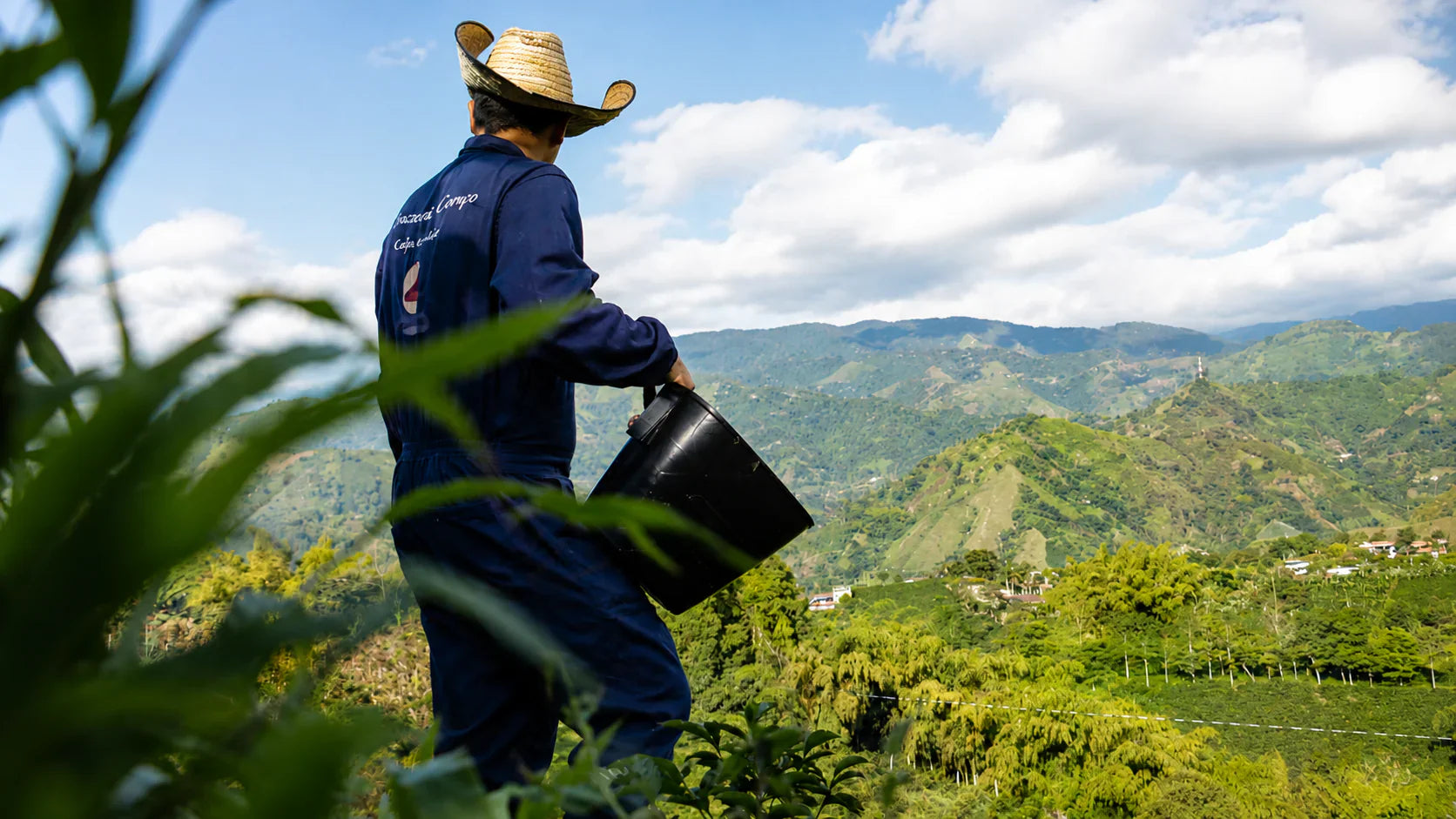 Café colombiano de especialidad: por qué importa el origen y dónde comprarlo - La Guashira Specialty Coffee