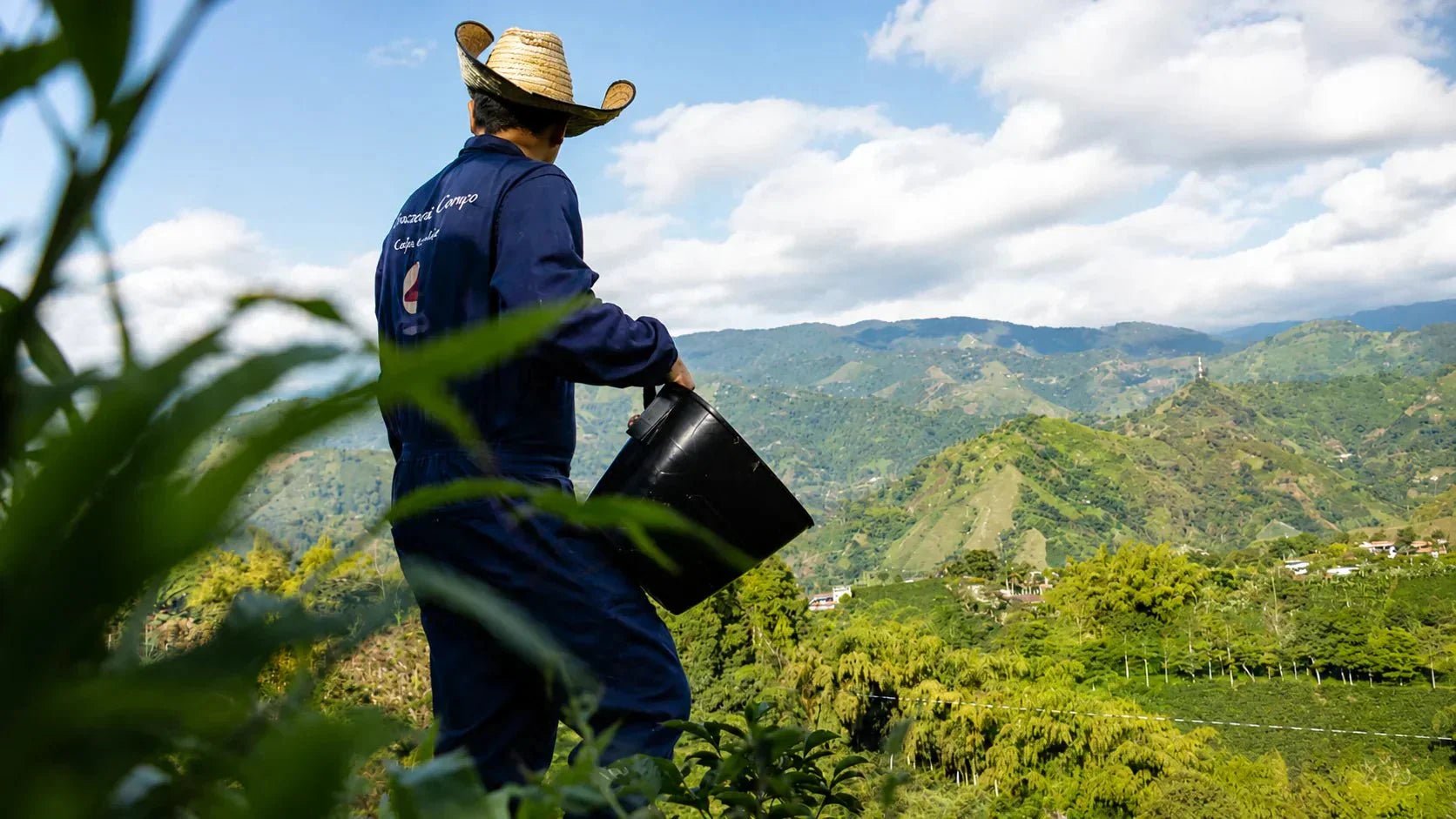 Café colombiano de especialidad: por qué importa el origen y dónde comprarlo - La Guashira Specialty Coffee