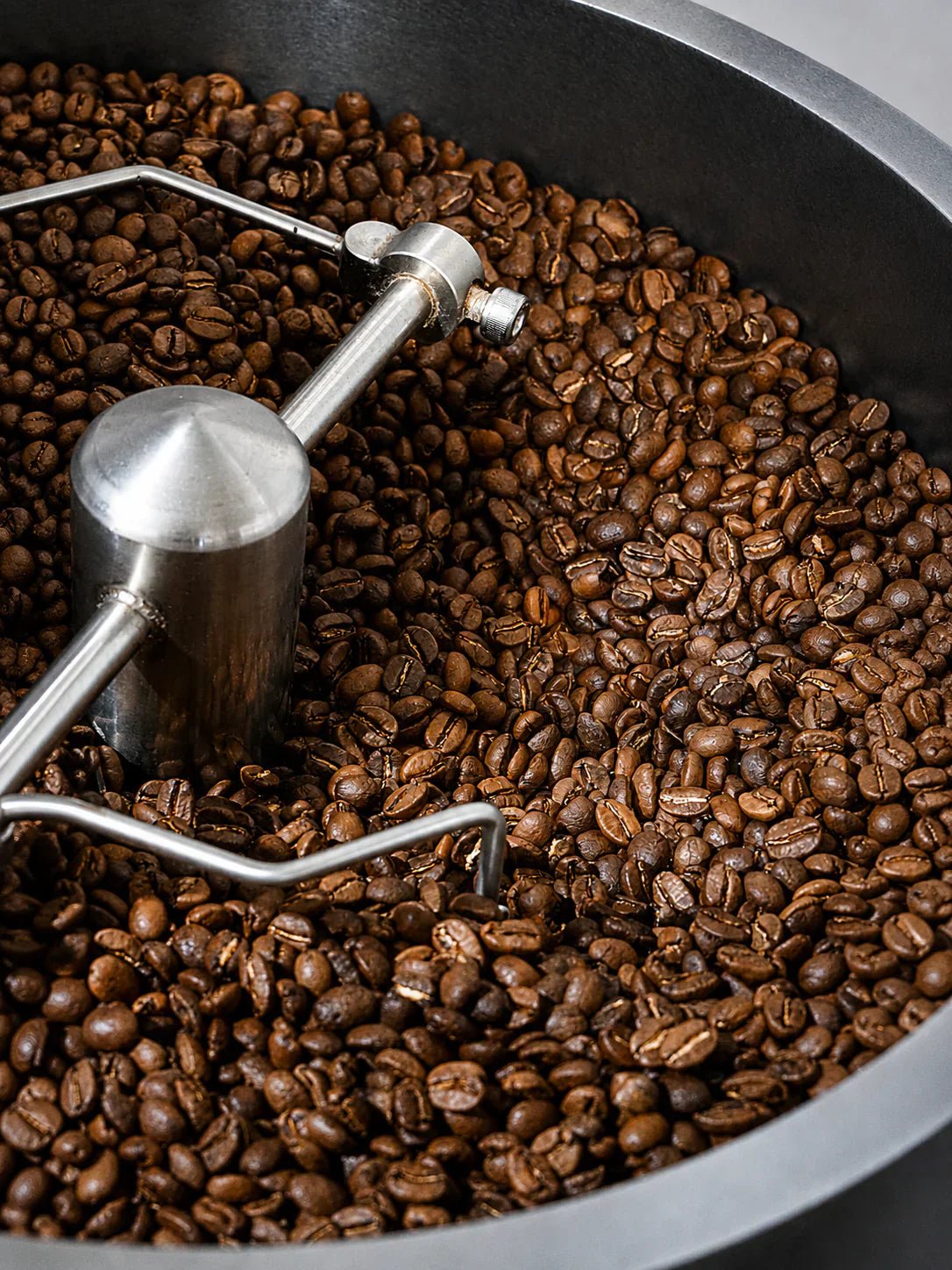Café en grano o molido: por qué el grano conserva mejor lo que hay dentro - La Guashira Specialty Coffee