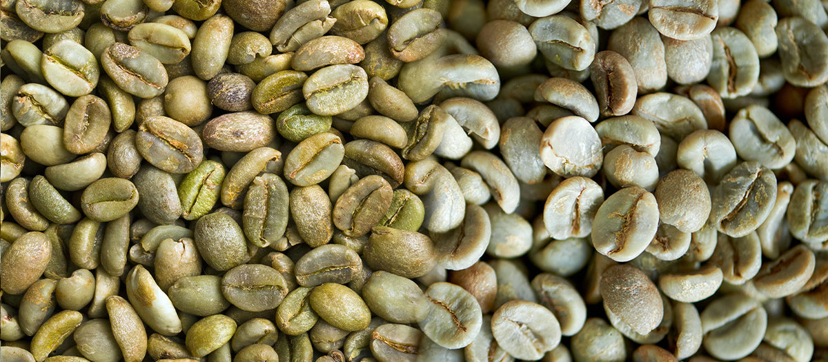 Diferencias entre café verde y café pergamino